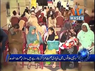 Dehai Elaqo Main Bunyadi Sehat Marakiz Banarahe Hain Wazir E Sehat