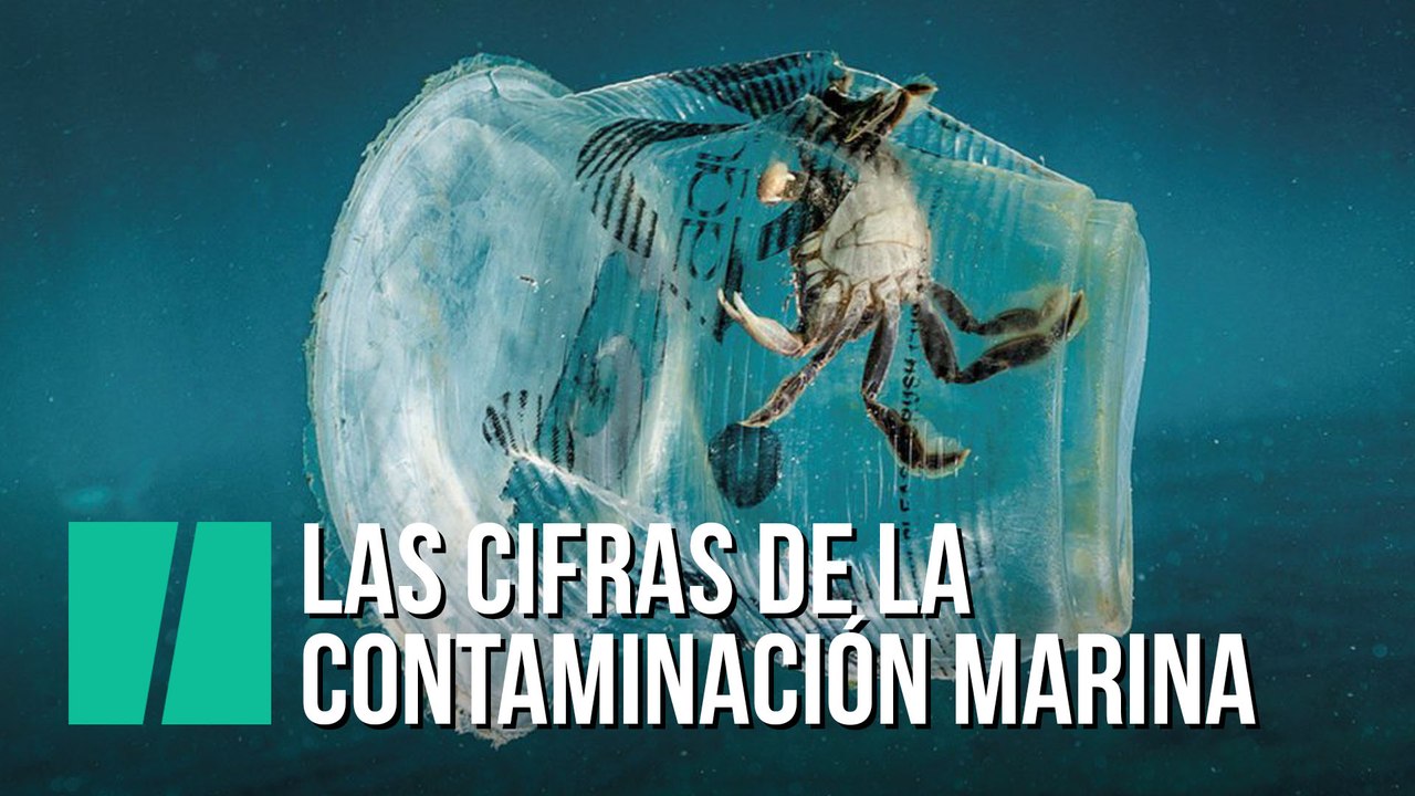 Las cifras de la contaminación marina