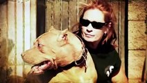 Pit Bulls And Parolees S02E04