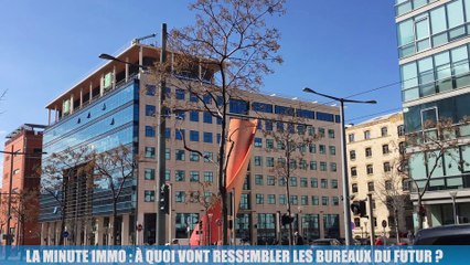 La Minute Immo : à quoi vont ressembler les bureaux du futur ?