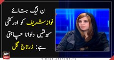 How much more facilities does PML-N want for Nawaz in prison? Zartaj Gul