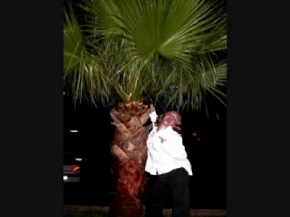 Prince Juju Aix en Provence 2008