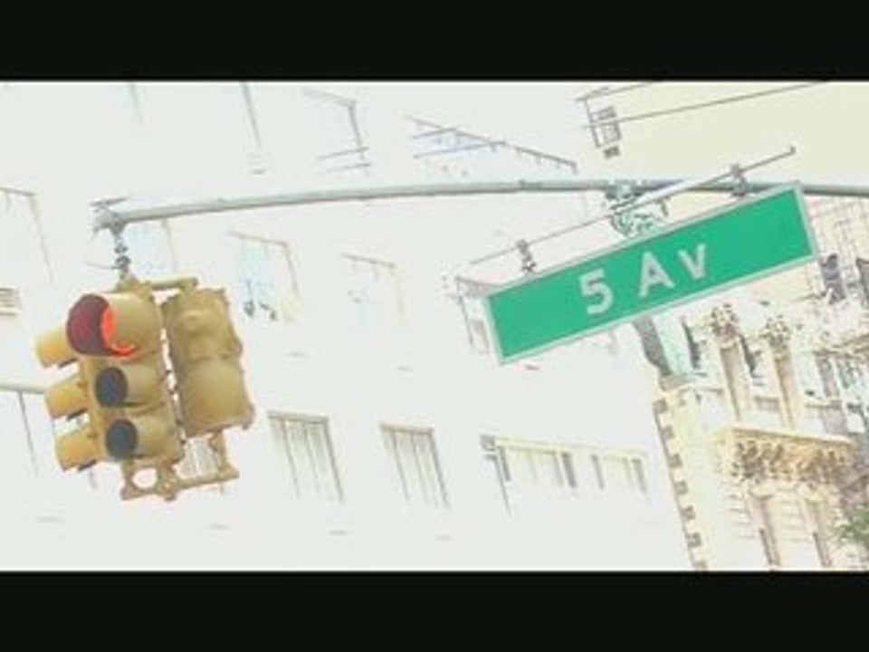 BIRDY NAM NAM NEW YORK SUMMER STAGE 2006