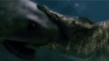Crocodilo-De-Água-Salgada Enfrenta Tubarão-Branco