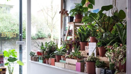 GOODLINES: 20th March 2019