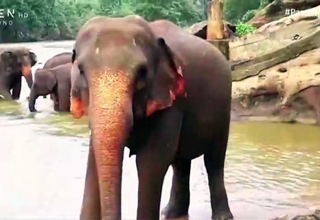 Sri Lanka