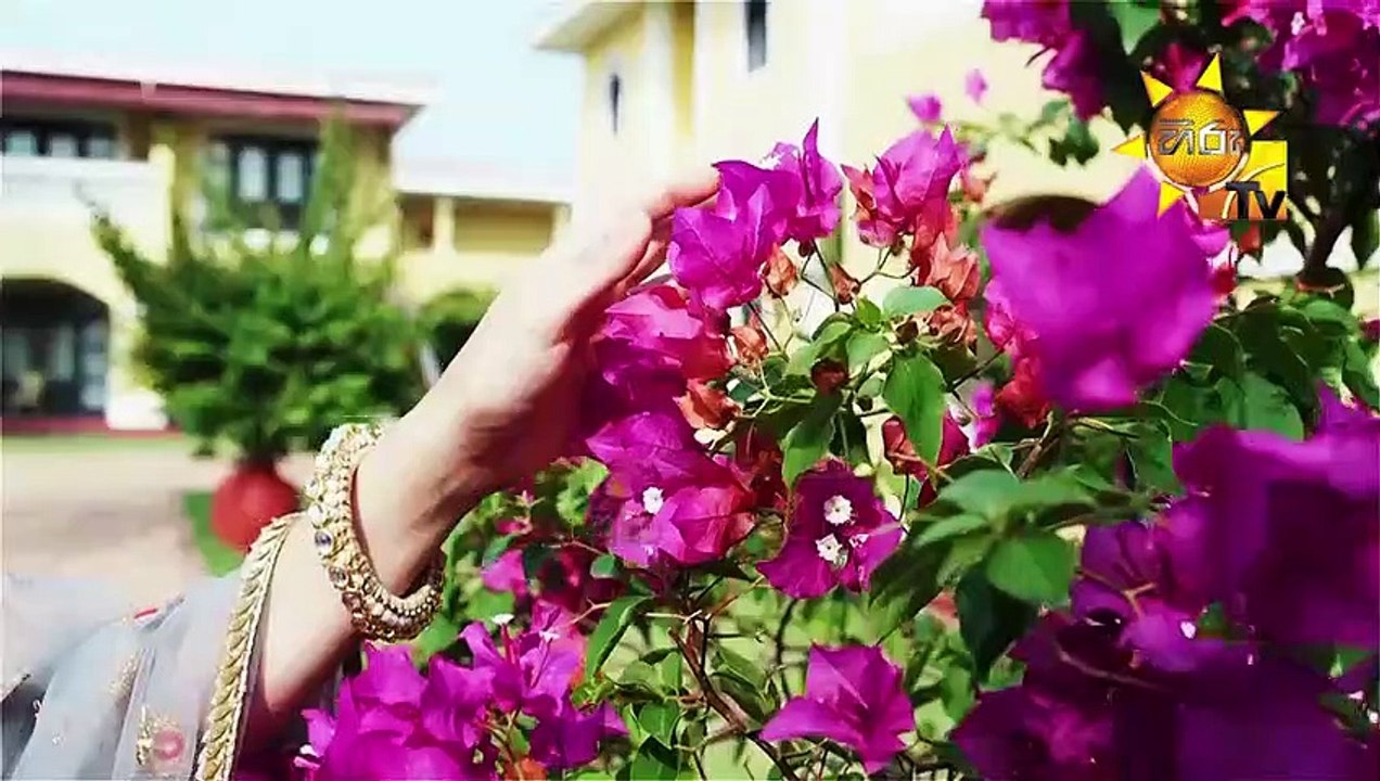 Sihinayaka Seya Teledrama - 20 - 19th March 2019