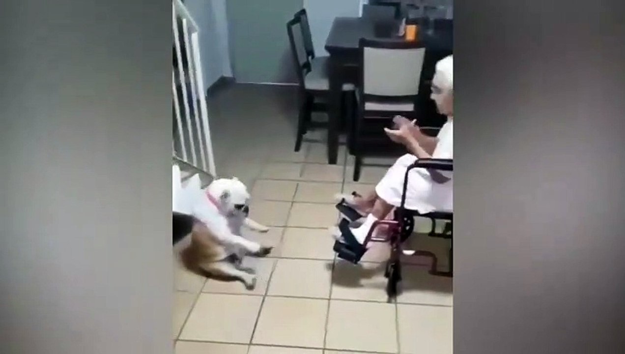 Un chien danse sur le chant de sa maitresse !