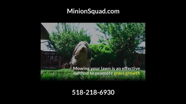 Lawn Mowing Service in Rensselaer | Minion Squad