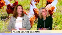 20H le mag - L'Info du Vrai du  - L'info du vrai, le mag - CANAL 