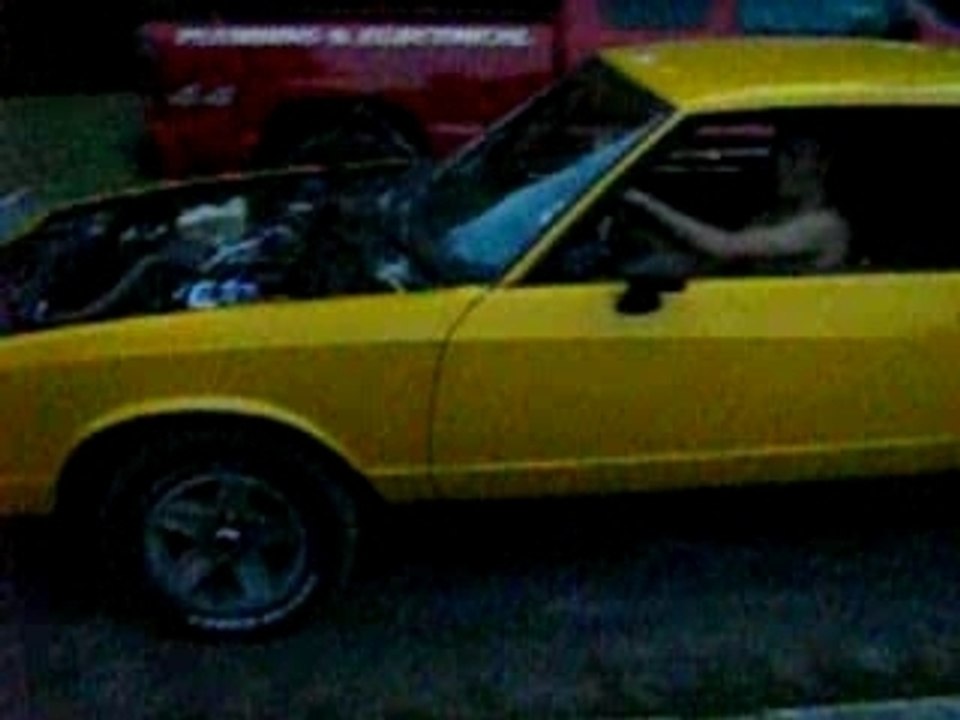 85 montie