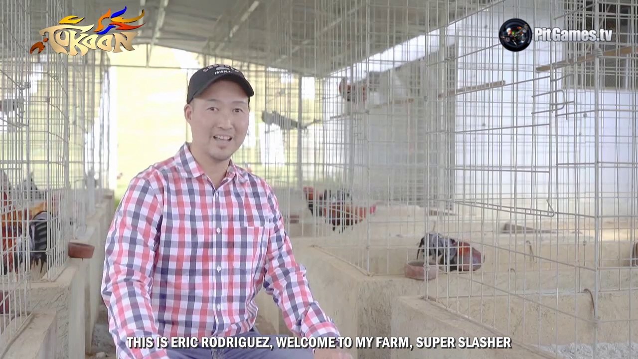 Breeder of the Week  - Eric Rodriguez - Super Slasher Gamefarm