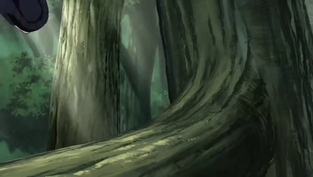 After the Fourth Shinobi World War Naruto Shippuden