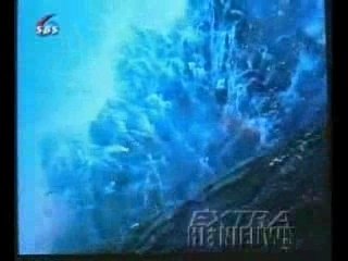 Incendie D'Usine De Feux D'Artifice