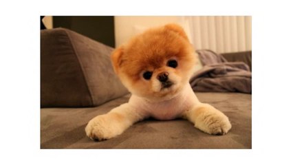 야탑안마 ⒤ ％ 분당안마방「бIб▷5836=3763」 ％ ṩ 힐링서비스 ₲ 분당안마방초이스 polite ⒤ 야탑안마 ∗ 분당안마황제코스 ％ scorn