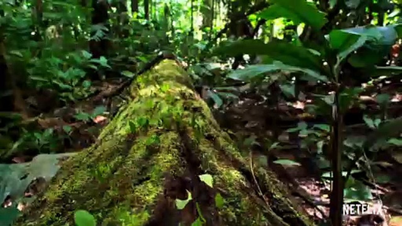 Unser Planet Film