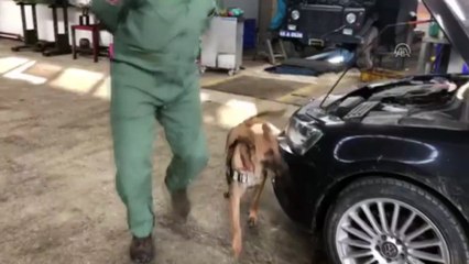 Uyuşturucuyu jantlara gizlemişler - VAN