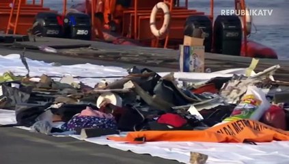 Sorotan Terhadap Perangkat Lunak Baru Boeing 737 Max 8