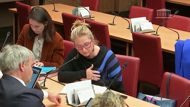 Commission des affaires économiques : Hébergement d'urgence ; Situation sociale de Nokia ; Grande distribution et fournisseurs - Mardi 19 mars 2019