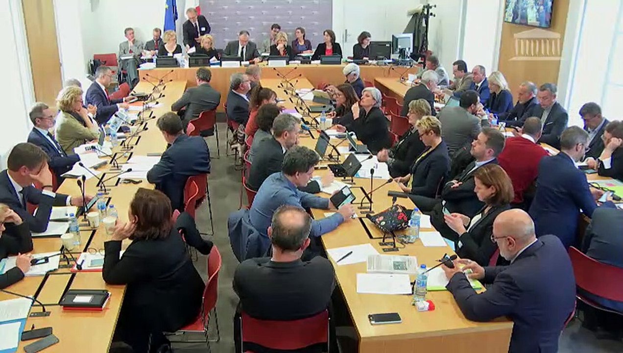 Commission du développement durable : M. Didier Guillaume, ministre de l’agriculture et de l’alimentation - Mardi 19 mars 2019