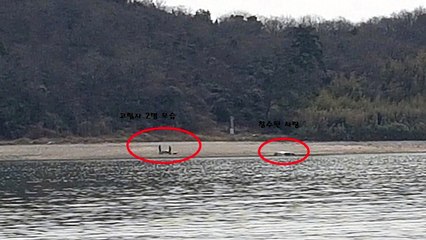 간조 때 섬 들어갔다 만조 되자 고립...해경 구조 / YTN