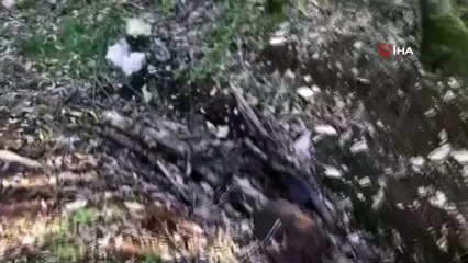 Diyarbakır’da teröristlerin inlerine girildi