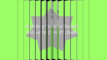 MURAH, WA +62 812-9627-2689, Jual Kambing Qurban Bojongsari, Depok
