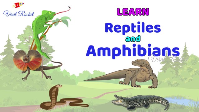 Learn Reptiles and Amphibians for Kids || Reptiles For Children in English | Amphibians names For Kids In English || Viral Rocket