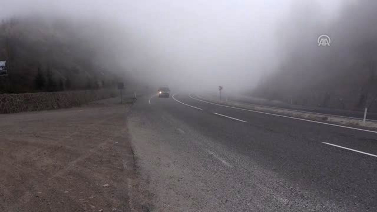 Batı Karadeniz'de Sis