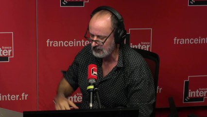 Armando, la dimension stratosphérique du pigeon voyageur - Le billet de Daniel Morin
