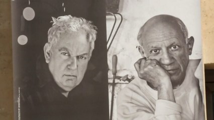 Calder/Picasso, espace commun