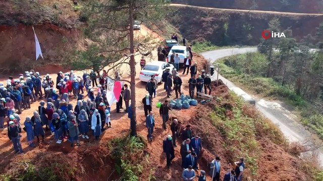 Çamburnu'nda 2 yıl önce çıkan yangında zarar gören Sarıçam Ormanı'na yaklaşık 29 bin yeni sarıçam fidanı dikildi