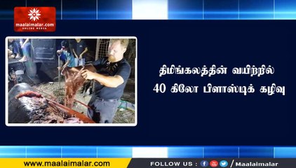 திமிங்கலத்தின் வயிற்றில் 40 கிலோ பிளாஸ்டிக் கழிவு | MM NEWS