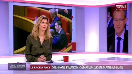 Stéphane Piednoir est l'invité de Territoires d'Infos sur Public Sénat (20.03.2019)