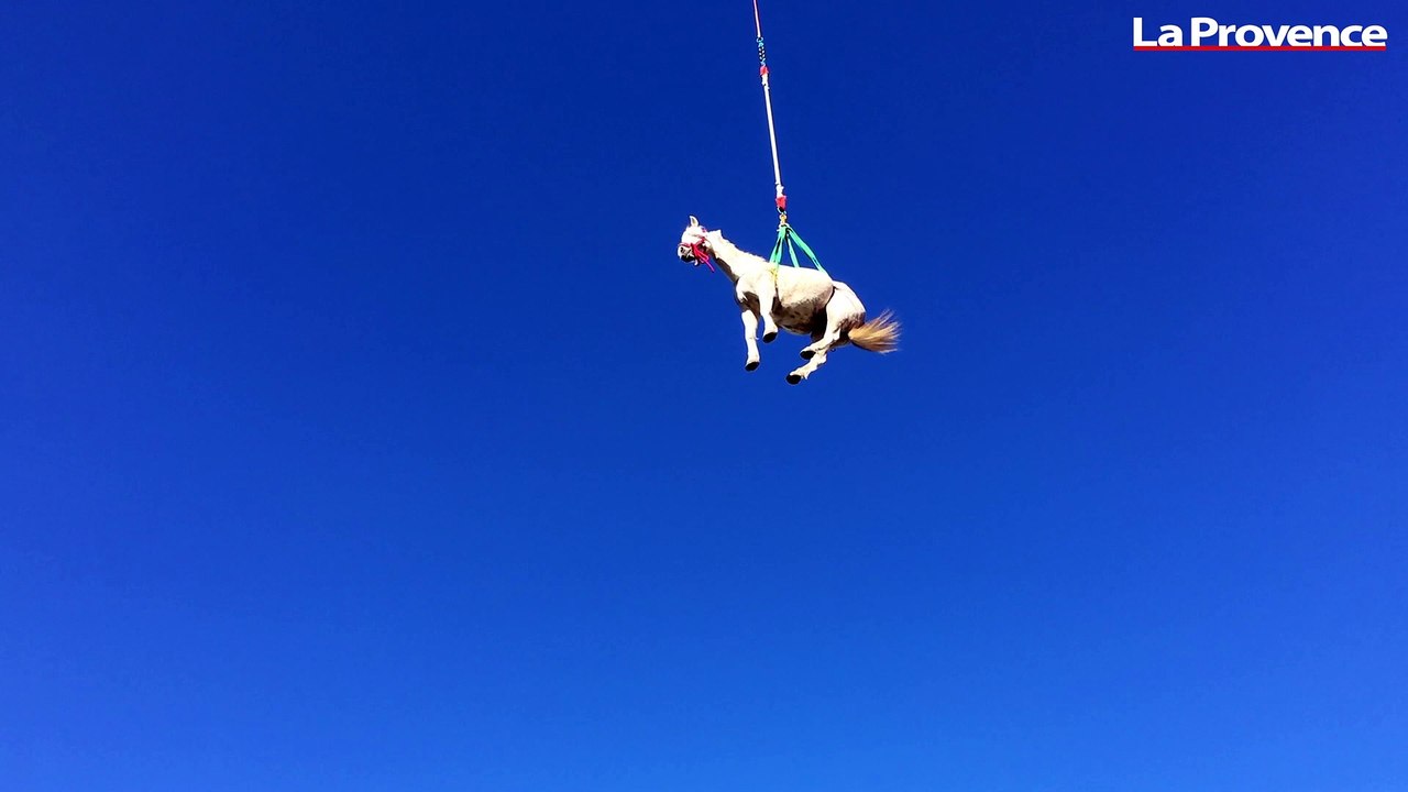 Robion : le cheval coincé dans un chemin escarpé a finalement été sauvé