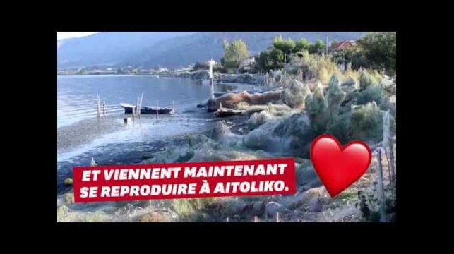 On a trouvé la ville grecque à éviter pour vos vacances