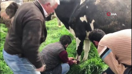 - Denizli’de resmi rakamlara göre depremde 30 ev yıkıldı