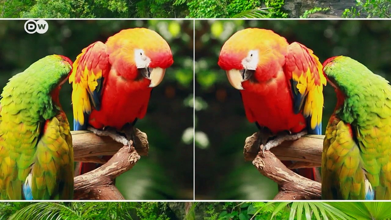 Kaufverhalten - Farben mischen mit! | Made in Germany