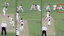 Matthew Wade's Super Catch In Slips | Oneindia Telugu