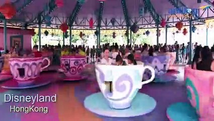 Amazing Hong Kong Tour