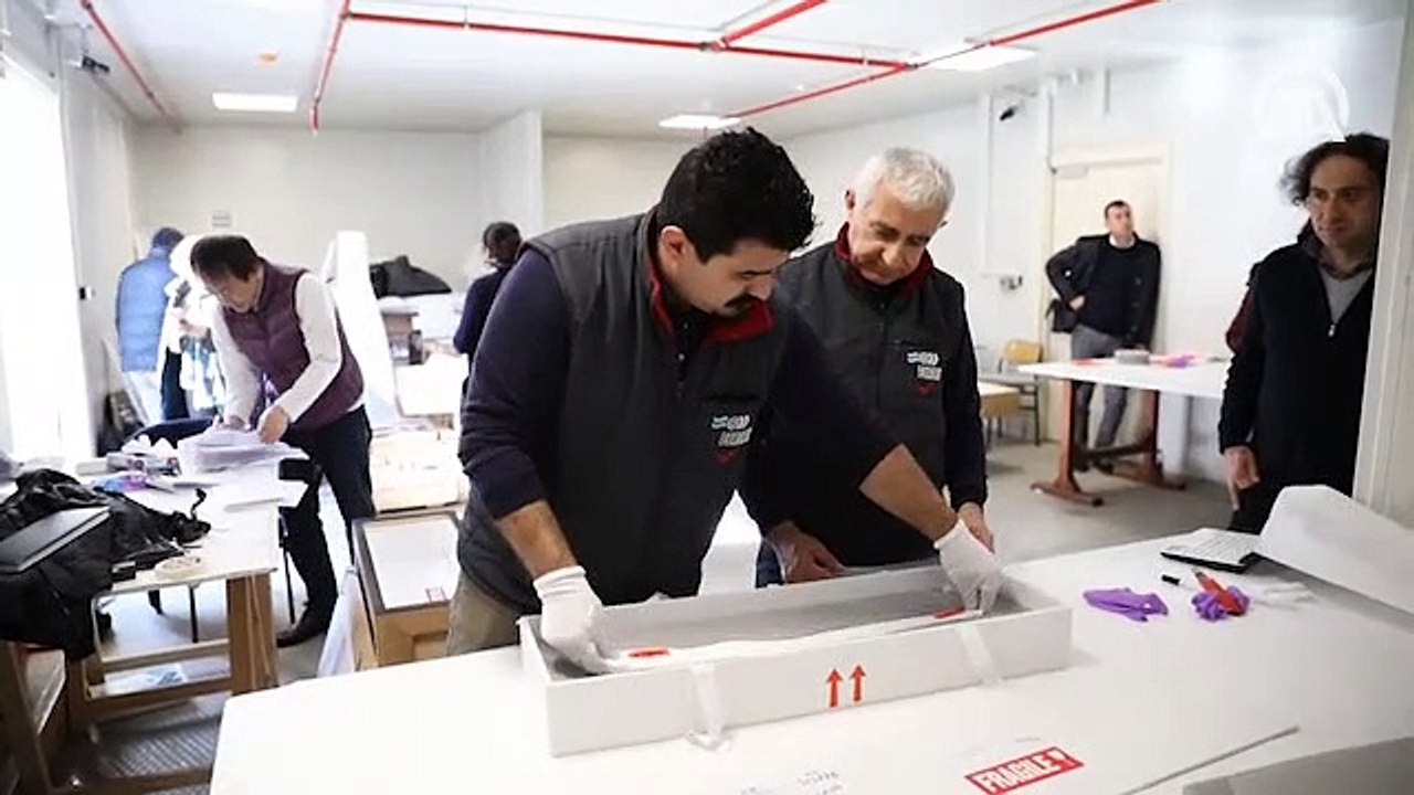 Turkish Cargo, sarayın eserlerini Japonya'ya taşıdı