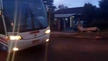 Danos no asfalto provocado por ônibus incomodam moradores do Parque dos Ipês