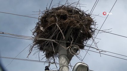 Denizli’deki depremde dikkat çeken detay