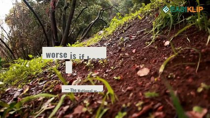 Wood Floor and Sub Floor Leveling