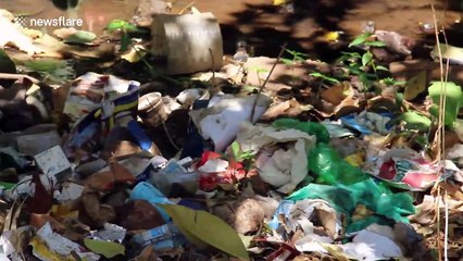 Shocking footage shows stream in Kenyan capital flooded with rubbish
