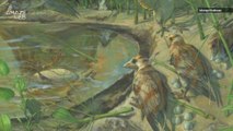 The Sad Story of an Ancient Bird That Died With Its Egg Still Inside Her Body
