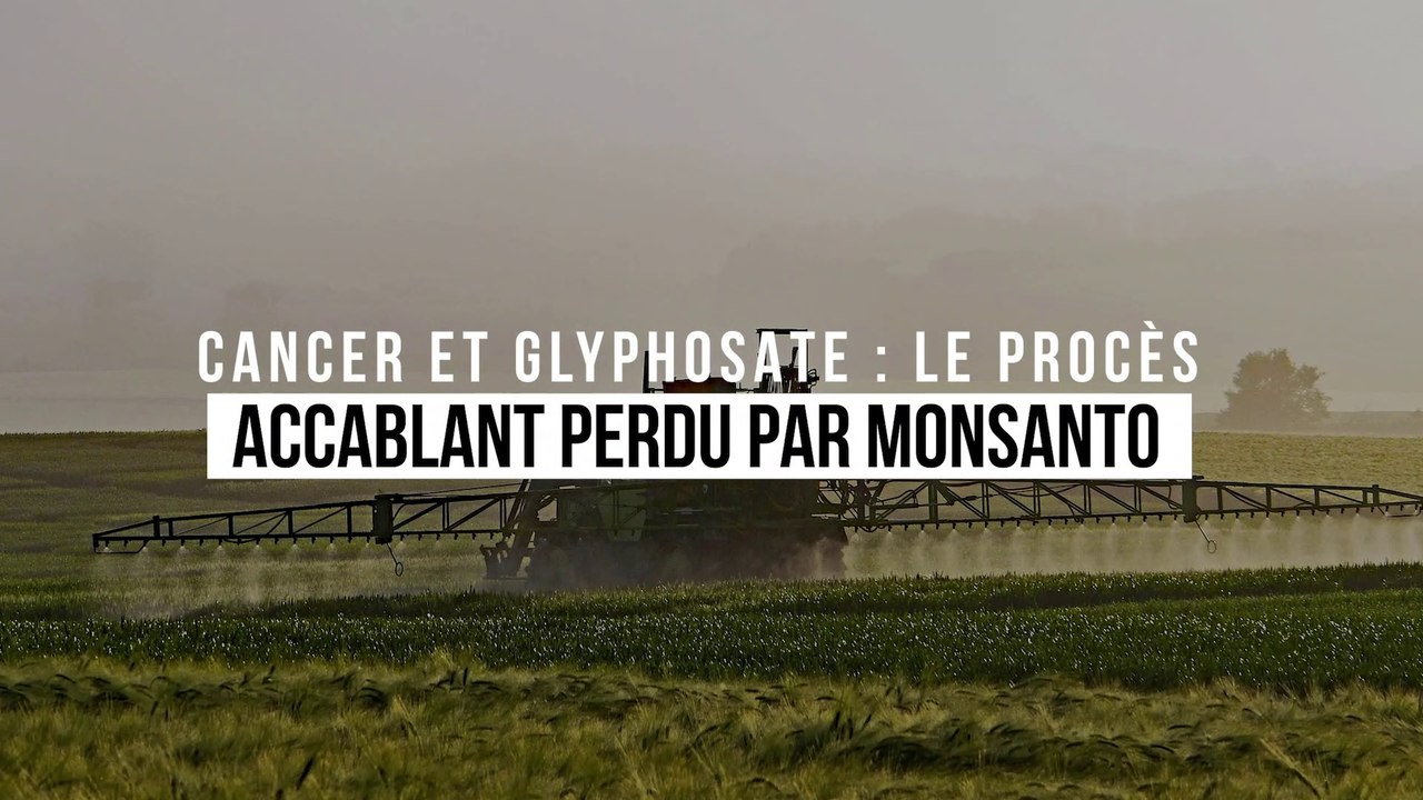Cancer et glyphosate : le procès accablant perdu par Monsanto