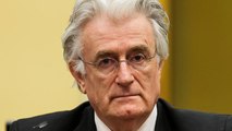 Radovan Karadzic: Ex-Bosnian Serb leader has sentence increased to life in prison