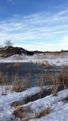 Snowmobiling Across Thin Ice