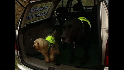 Ace Ventura Pet Detective Dog